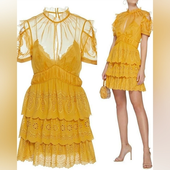 Self-Portrait NWOT Embroidered Chiffon Tiered Mini Dress In Gold Yellow Size 4 - Picture 6 of 16